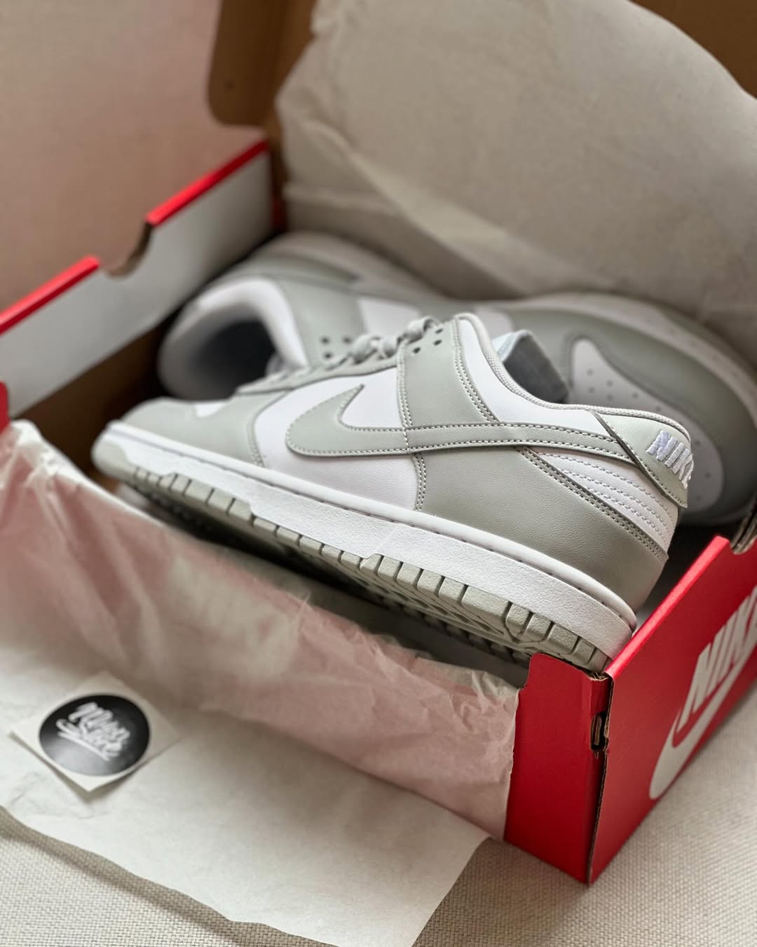 Tênis Unissex Dunk Cinza Premium